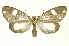  ( - INBIOCRI002498537)  @11 [ ] Copyright (2012) Juan Mata Lorenzen INBio