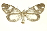  ( - INBIOCRI002498537)  @11 [ ] Copyright (2012) Juan Mata Lorenzen INBio