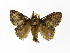  ( - INBIOCRI002503797)  @12 [ ] Copyright (2012) J. Montero Instituto Nacional de Biodiversidad
