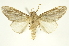 ( - INBIOCRI002505349)  @13 [ ] Copyright (2012) J. Montero INBio