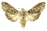  ( - INBIOCRI002526618)  @15 [ ] Copyright (2012) Juan Mata Lorenzen INBio