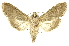  ( - INBIOCRI002526618)  @15 [ ] Copyright (2012) Juan Mata Lorenzen INBio
