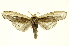  ( - INBIOCRI002539157)  @14 [ ] Copyright (2012) Juan Mata Lorenzen INBio