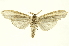  ( - INBIOCRI002539157)  @13 [ ] Copyright (2012) Juan Mata Lorenzen INBio