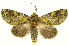  ( - INBIOCRI002547595)  @11 [ ] Copyright (2012) J. Montero INBio
