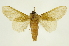  ( - INBIOCRI002547595)  @11 [ ] Copyright (2012) J. Montero INBio