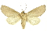  ( - INBIOCRI002548845)  @13 [ ] Copyright (2012) Juan Mata Lorenzen INBio