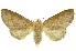  ( - INBIOCRI002549014)  @14 [ ] Copyright (2012) Juan Mata Lorenzen INBio