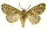  ( - INBIOCRI002551647)  @14 [ ] Copyright (2012) J. Montero INBio