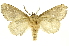  ( - INBIOCRI002551647)  @14 [ ] Copyright (2012) J. Montero INBio