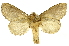  ( - INBIOCRI002551648)  @13 [ ] Copyright (2012) J. Montero INBio