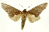  ( - INBIOCRI002553987)  @11 [ ] Copyright (2012) J. Montero INBio