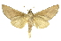  ( - INBIOCRI002553987)  @11 [ ] Copyright (2012) J. Montero INBio