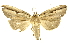  ( - INBIOCRI002557955)  @14 [ ] Copyright (2012) Juan Mata Lorenzen INBio