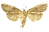  ( - INBIOCRI002557955)  @13 [ ] Copyright (2012) Juan Mata Lorenzen INBio