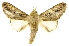  ( - INBIOCRI002557982)  @14 [ ] Copyright (2012) J. Montero INBio