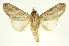  ( - INBIOCRI002557982)  @13 [ ] Copyright (2012) J. Montero INBio