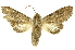  ( - INBIOCRI002558004)  @13 [ ] Copyright (2012) J. Montero INBio