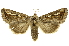  ( - INBIOCRI002558040)  @14 [ ] Copyright (2012) J. Montero INBio