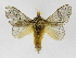  ( - INBIOCRI002558144)  @14 [ ] Copyright (2012) J. Montero Instituto Nacional de Biodiversidad