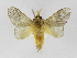  ( - INBIOCRI002558144)  @13 [ ] Copyright (2012) J. Montero Instituto Nacional de Biodiversidad