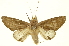  ( - INBIOCRI002562002)  @14 [ ] Copyright (2012) Juan Mata Lorenzen INBio
