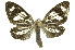  ( - INBIOCRI002568855)  @13 [ ] Copyright (2012) Juan Mata Lorenzen Unspecified