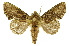  ( - INBIOCRI002573259)  @14 [ ] Copyright (2012) J. Montero INBio