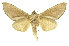  ( - INBIOCRI002573259)  @13 [ ] Copyright (2012) J. Montero INBio