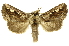  ( - INBIOCRI002575826)  @14 [ ] Copyright (2012) J. Montero INBio