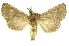  ( - INBIOCRI002575826)  @13 [ ] Copyright (2012) J. Montero INBio