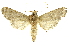  ( - INBIOCRI002595280)  @13 [ ] Copyright (2012) Juan Mata Lorenzen INBio