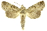  ( - INBIOCRI002609468)  @11 [ ] Copyright (2012) Juan Mata Lorenzen INBio