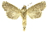  ( - INBIOCRI002609468)  @11 [ ] Copyright (2012) Juan Mata Lorenzen INBio