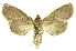  ( - INBIOCRI002754125)  @11 [ ] Copyright (2012) Juan Mata Lorenzen INBio