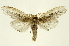  ( - INBIOCRI00678973)  @14 [ ] Copyright (2012) Juan Mata Lorenzen INBio