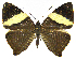  ( - INB0004169450)  @14 [ ] Copyright (2011) J. Montero Instituto Nacional de Biodiversidad