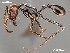  (Ocymyrmex AFRC-NAM-01 - AFR-CND-2010-34-F01)  @14 [ ] Unspecified (default): All Rights Reserved  Unspecified Unspecified