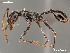  (Ocymyrmex AFRC-NAM-02 - AFR-CND-2010-41-F09)  @14 [ ] Unspecified (default): All Rights Reserved  Unspecified Unspecified