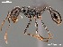  (Ocymyrmex AFRC-NAM-03 - AFR-CND-2010-34-F06)  @15 [ ] Unspecified (default): All Rights Reserved  Unspecified Unspecified
