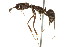  ( - 10BELIZE-0013)  @13 [ ] Unspecified (default): All Rights Reserved  Unspecified Unspecified