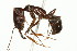  ( - 10BELIZE-0307)  @13 [ ] Unspecified (default): All Rights Reserved  Unspecified Unspecified