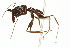  ( - 10BELIZE-0376)  @13 [ ] Unspecified (default): All Rights Reserved  Unspecified Unspecified