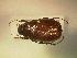 ( - MP1708)  @12 [ ] Unspecified (default): All Rights Reserved  Unspecified Unspecified