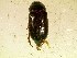  ( - MP358)  @13 [ ] Unspecified (default): All Rights Reserved  Unspecified Unspecified