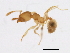  ( - 10BZMT-0571)  @13 [ ] CreativeCommons - Attribution (2010) CBG Photography Group Centre for Biodiversity Genomics