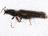  ( - BIOUG00824-A06)  @12 [ ] CreativeCommons - Attribution (2011) CBG Photography Group Centre for Biodiversity Genomics