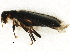  ( - BIOUG00824-C08)  @13 [ ] CreativeCommons - Attribution (2011) CBG Photography Group Centre for Biodiversity Genomics