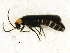  ( - BIOUG00824-D08)  @12 [ ] CreativeCommons - Attribution (2011) CBG Photography Group Centre for Biodiversity Genomics