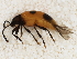  ( - BIOUG00824-H07)  @12 [ ] CreativeCommons - Attribution (2011) CBG Photography Group Centre for Biodiversity Genomics